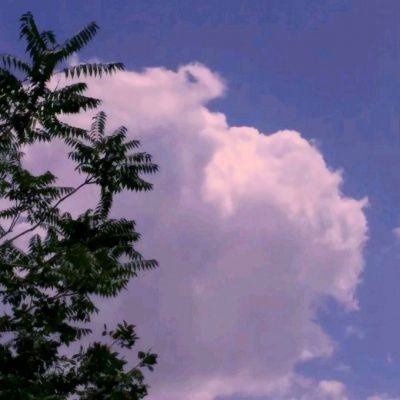  CSGO飾品租賃C5免押技巧：輕松上手不踩坑